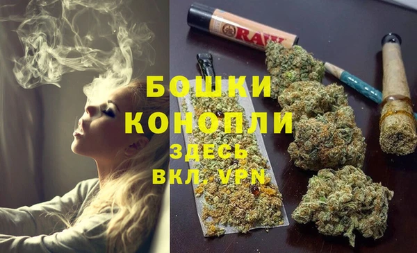 мдпв Нея