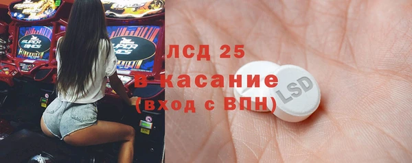 индика Абаза