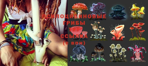 MESCALINE Елизово