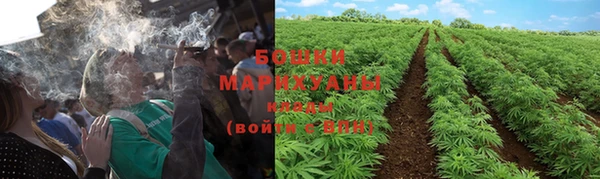 соль курить ск Новодвинск