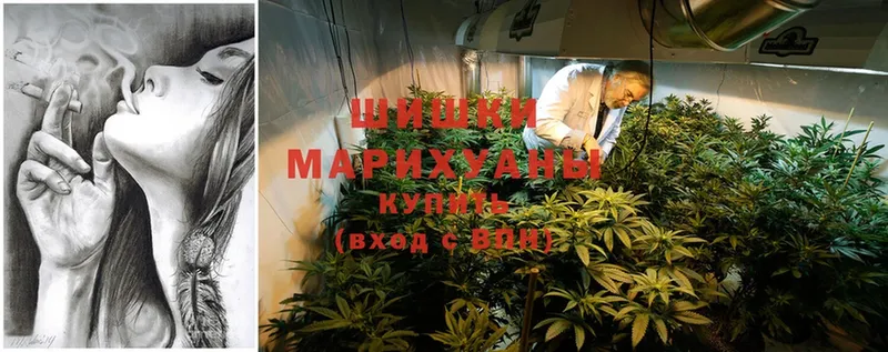 Шишки марихуана SATIVA & INDICA  дарнет шоп  Армянск 